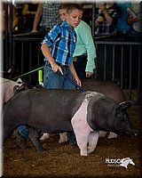 LCFair2016-3174.jpg