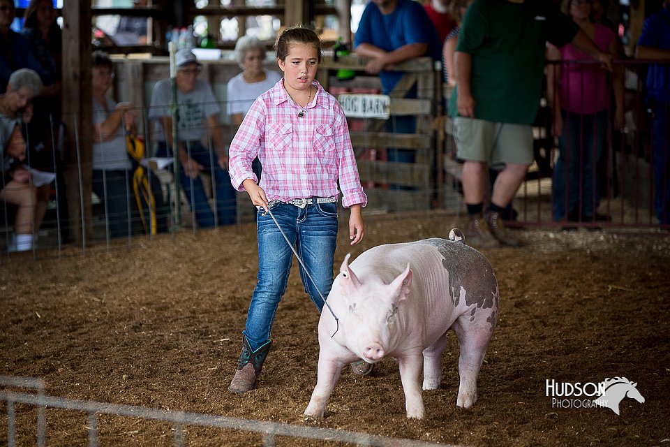 LCFair2016-3225.jpg