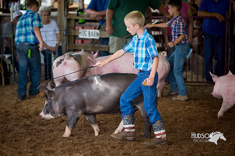 LCFair2016-3227.jpg