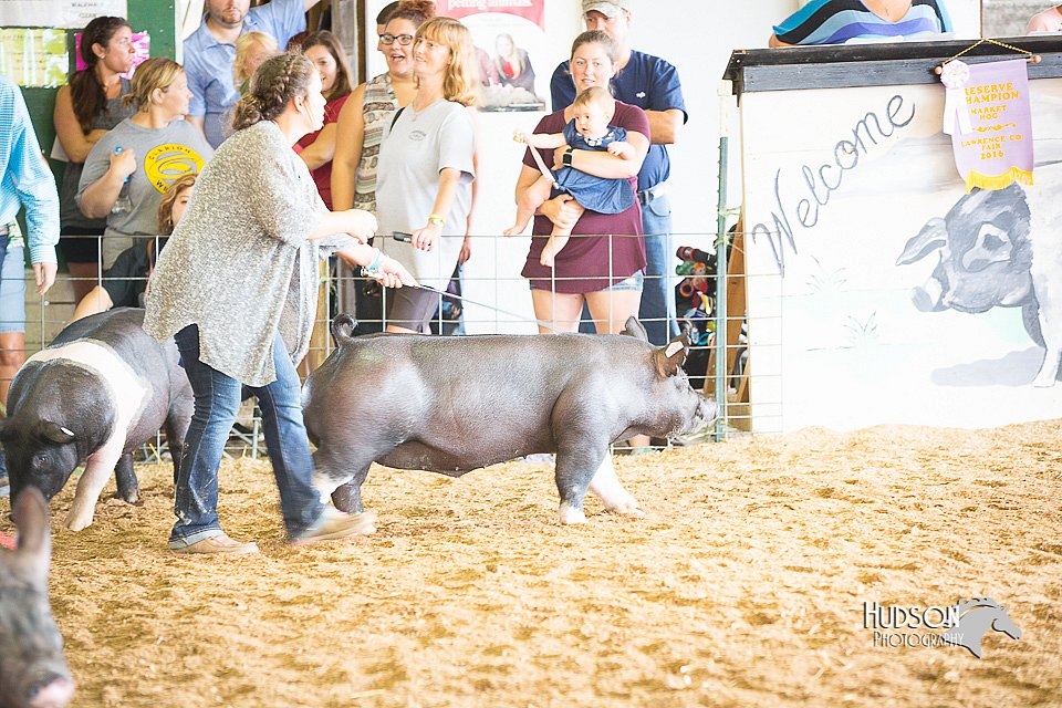 LCFair2016-3338.jpg