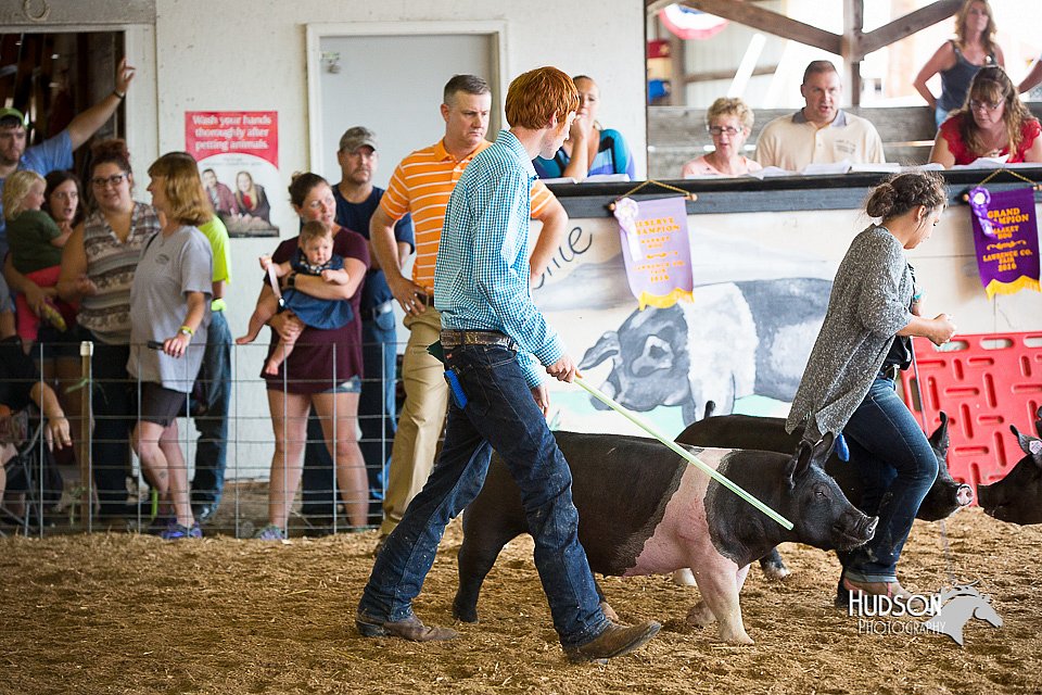 LCFair2016-3339.jpg