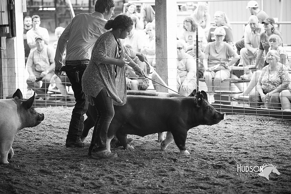LCFair2016-3344.jpg