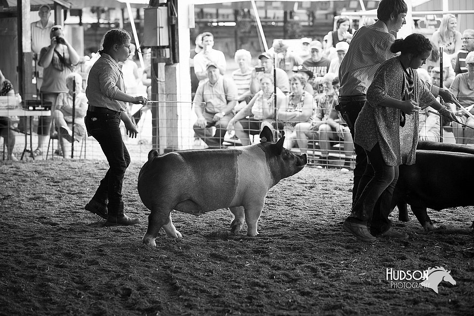 LCFair2016-3345.jpg