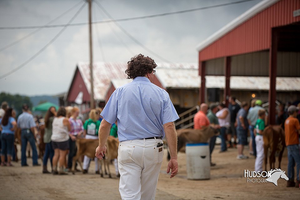 LCFair2016-3285.jpg