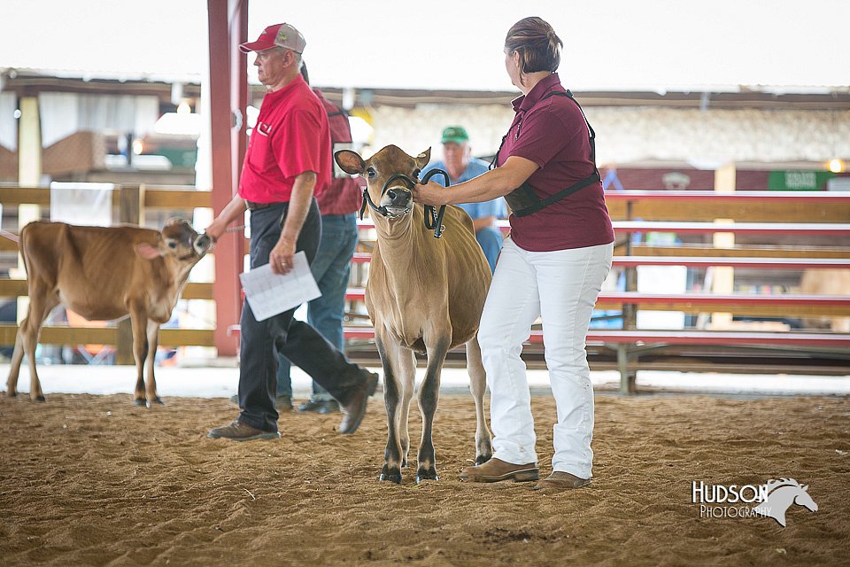 LCFair2016-3289.jpg