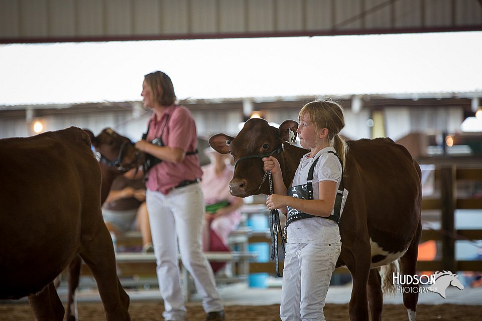 LCFair2016-3296.jpg