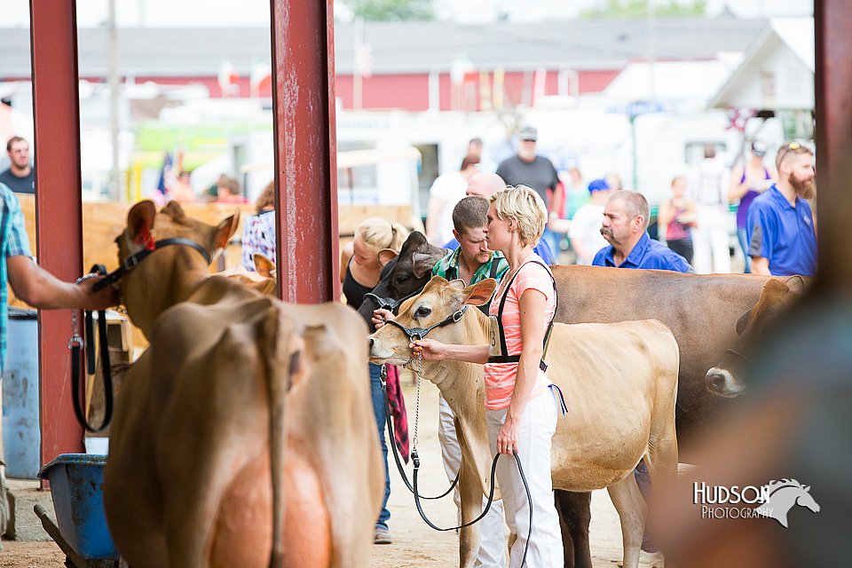 LCFair2016-3385.jpg