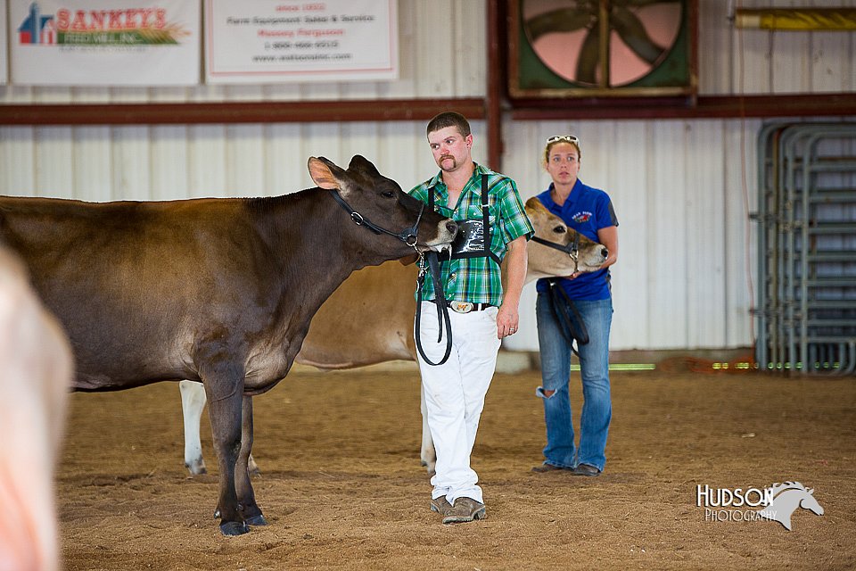 LCFair2016-3391.jpg
