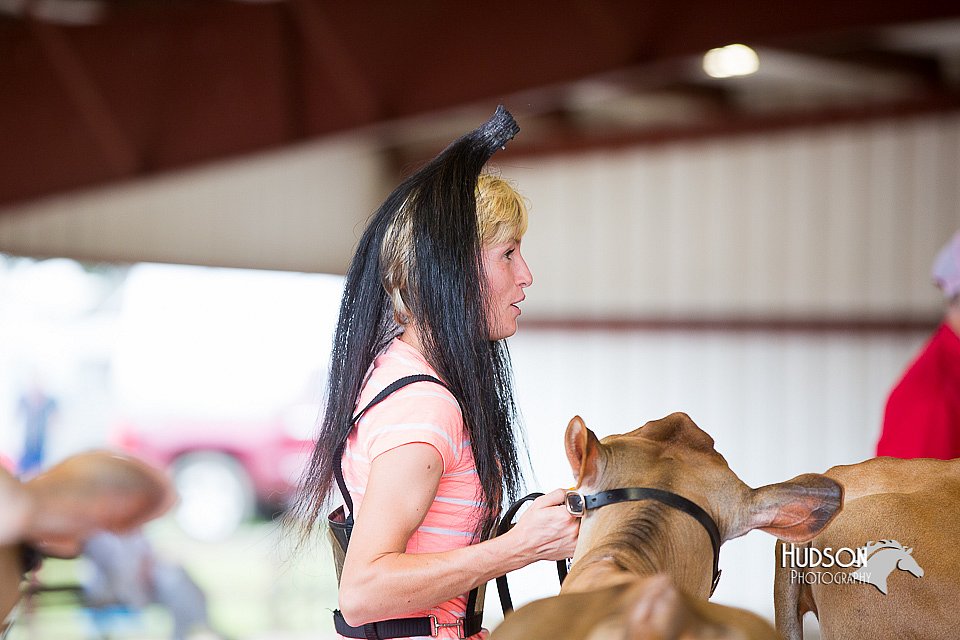 LCFair2016-3393.jpg