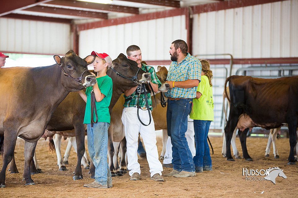 LCFair2016-3398.jpg