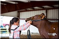 LCFair2016-3317.jpg