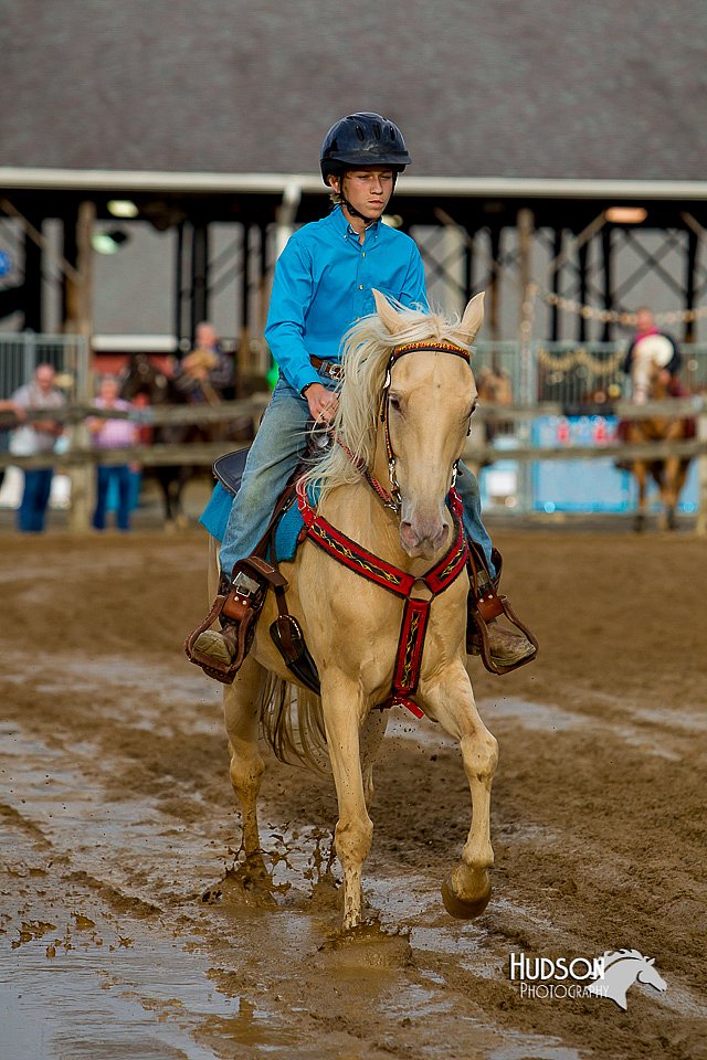 LCFair2016-3442.jpg