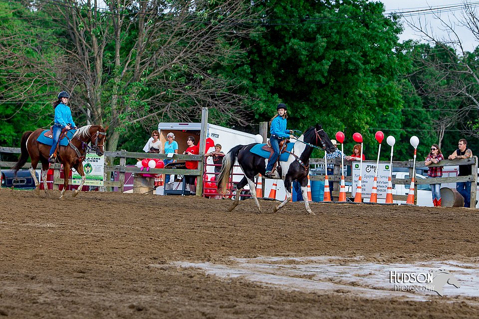 LCFair2016-3453.jpg