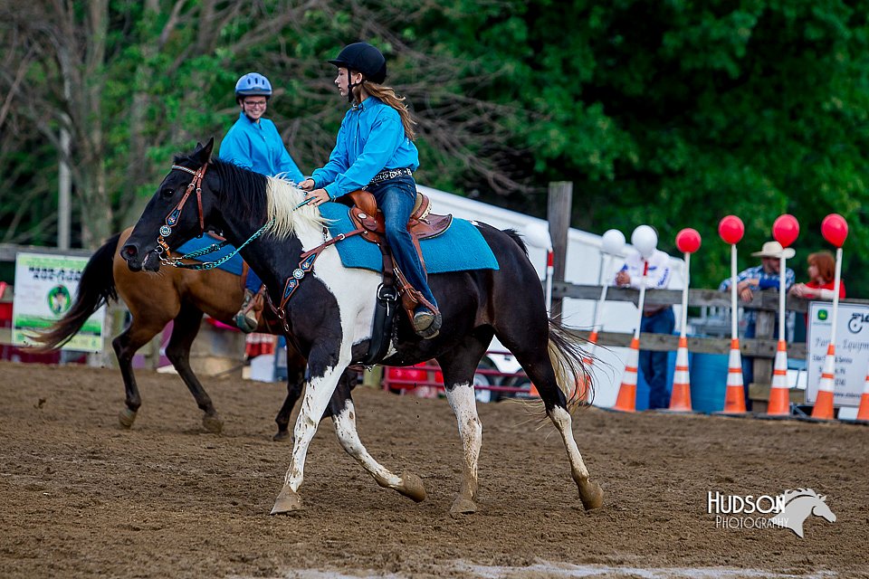 LCFair2016-3461.jpg