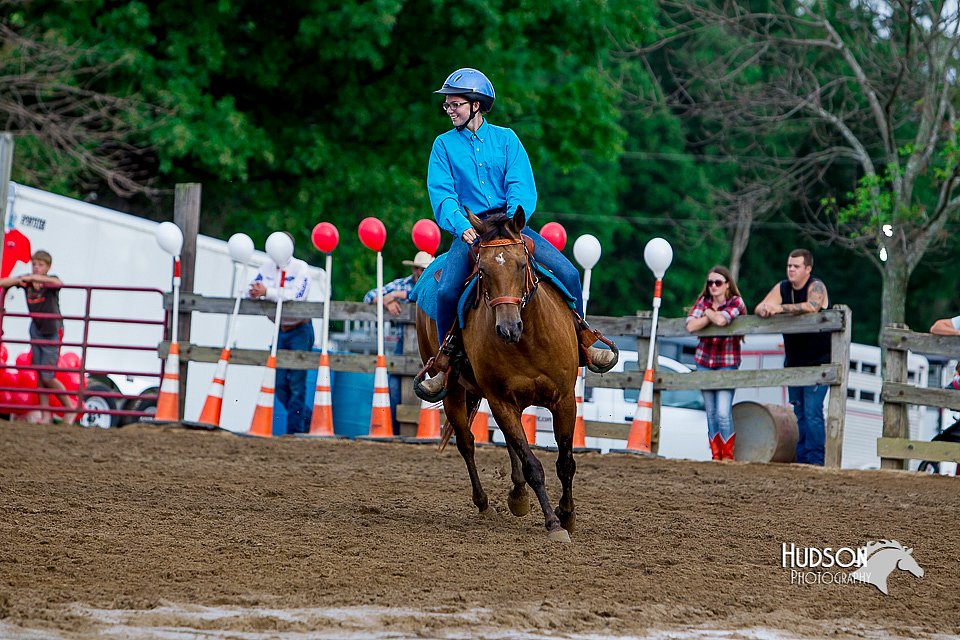 LCFair2016-3462.jpg