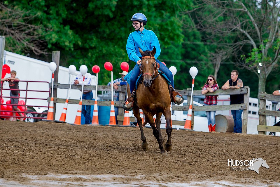 LCFair2016-3463.jpg