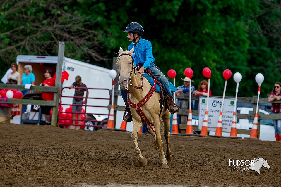 LCFair2016-3464.jpg