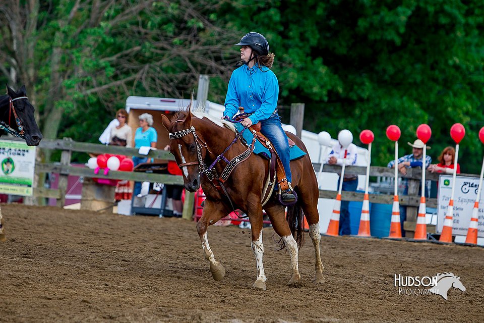 LCFair2016-3465.jpg