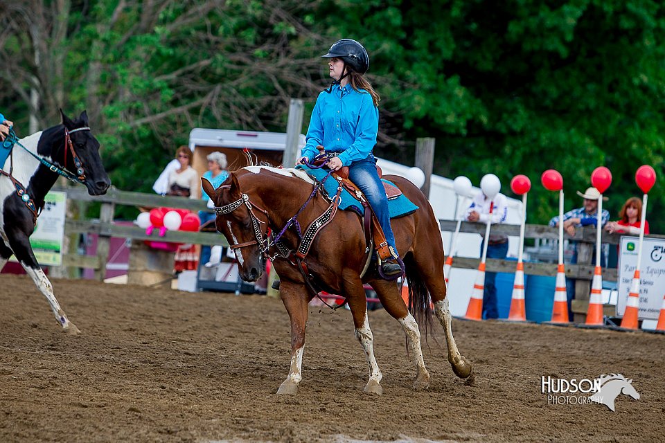 LCFair2016-3466.jpg