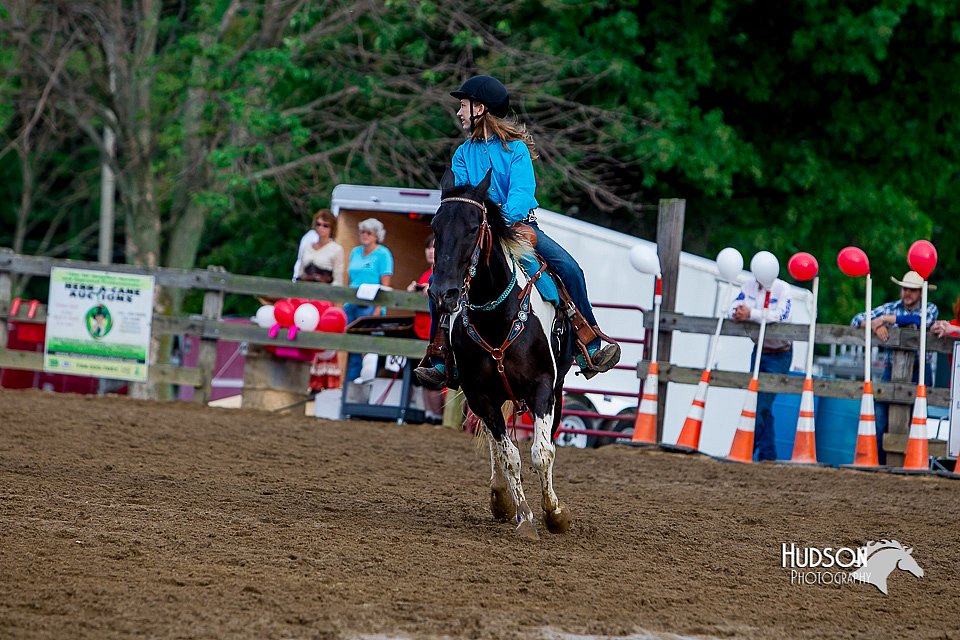 LCFair2016-3467.jpg