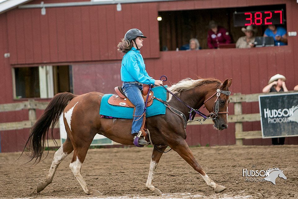 LCFair2016-3476.jpg
