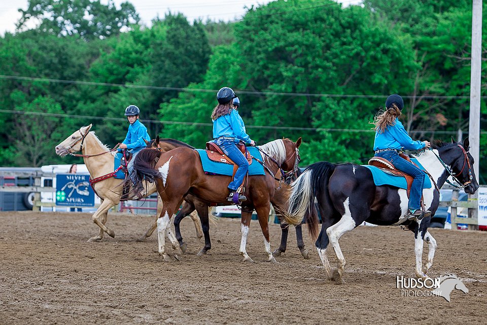 LCFair2016-3480.jpg