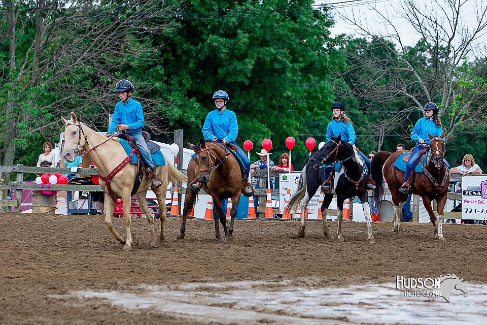 LCFair2016-3485.jpg