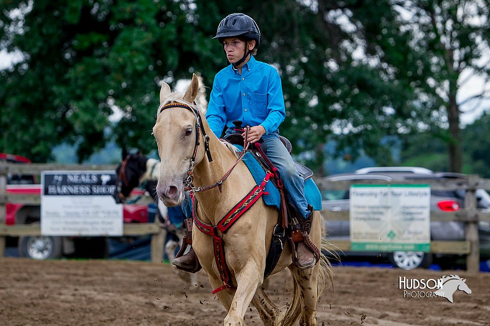 LCFair2016-3497.jpg