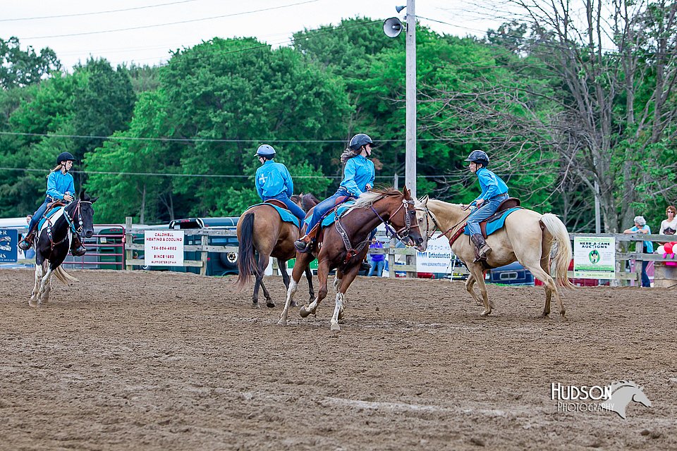 LCFair2016-3500.jpg