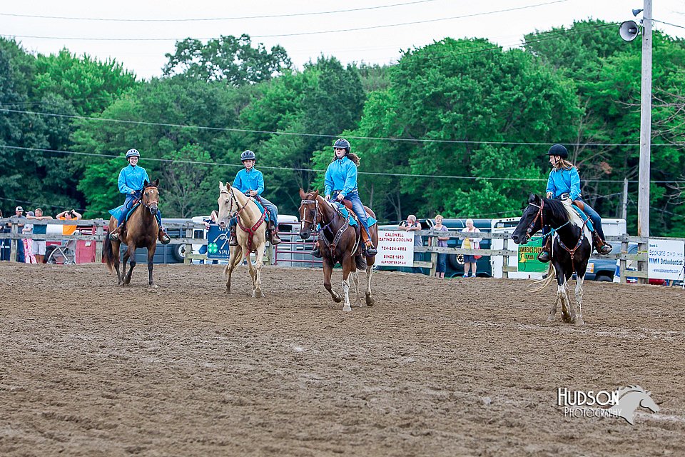 LCFair2016-3508.jpg