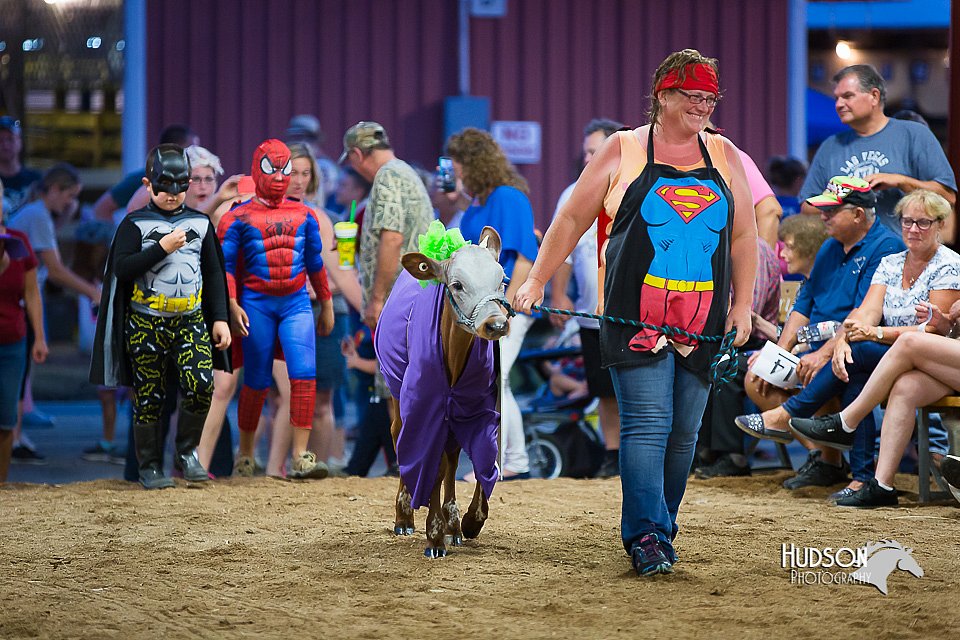 LCFair2016-3731.jpg
