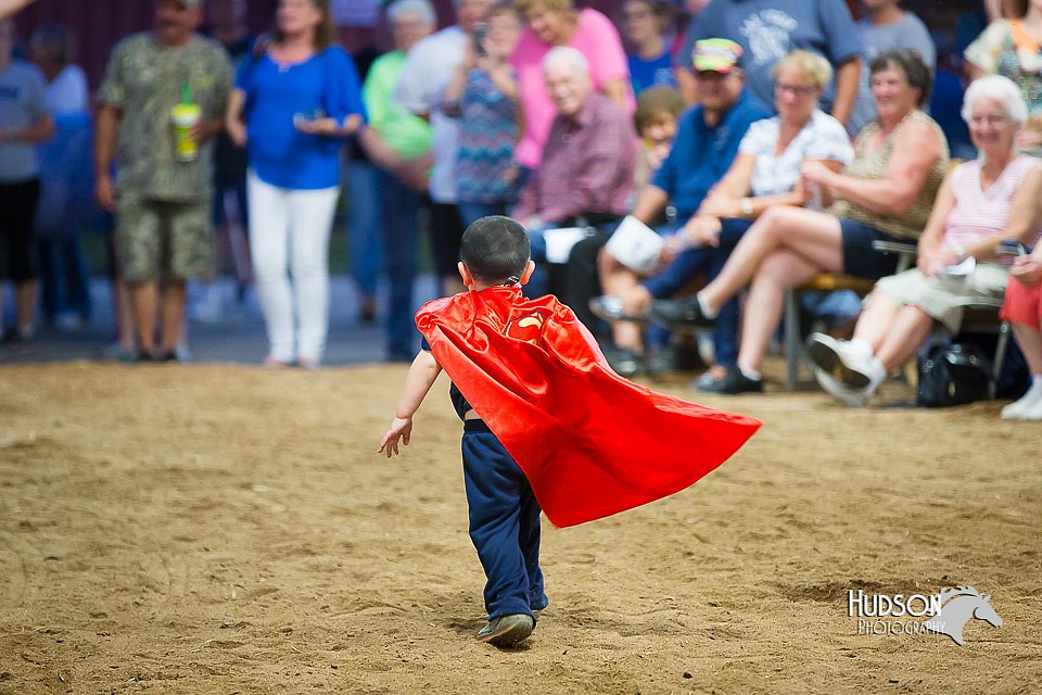 LCFair2016-3755.jpg