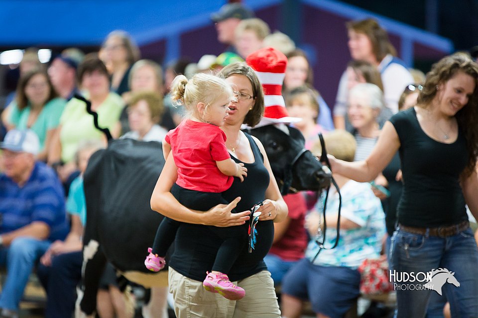 LCFair2016-3820.jpg