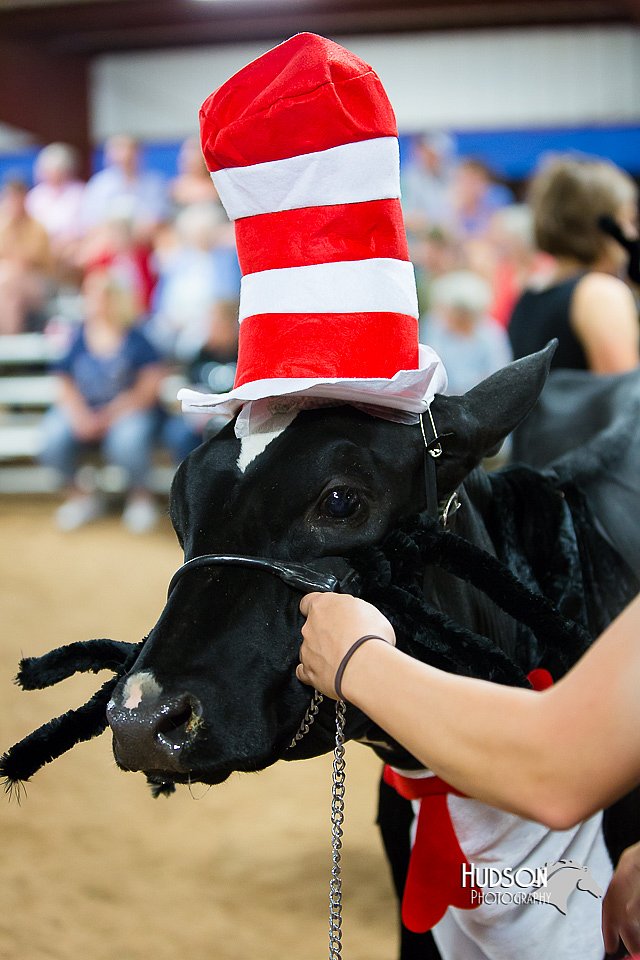 LCFair2016-3848.jpg
