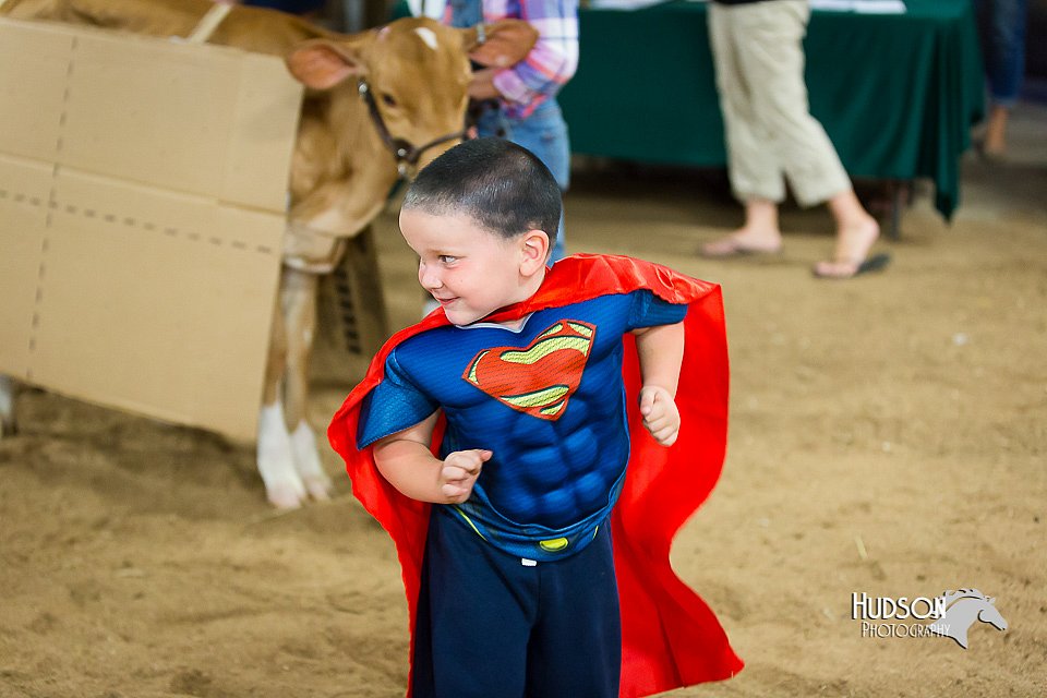 LCFair2016-3871.jpg