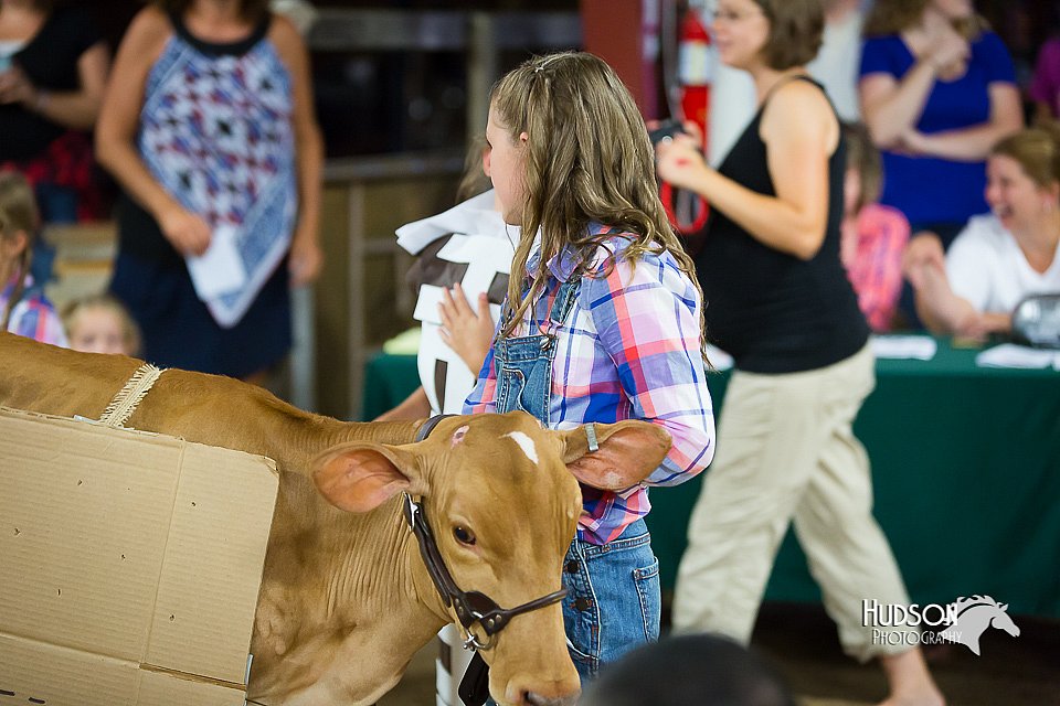 LCFair2016-3872.jpg