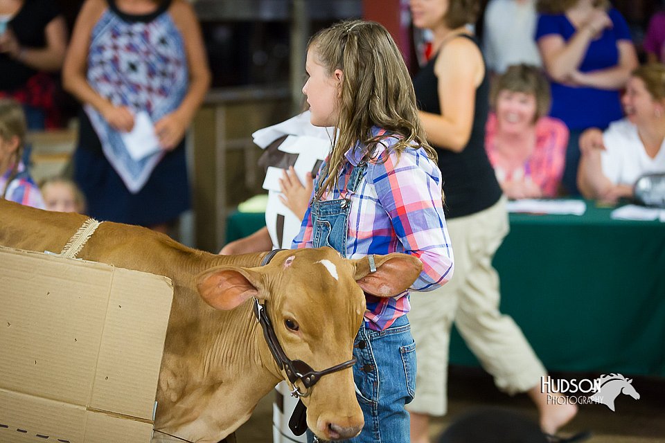LCFair2016-3873.jpg