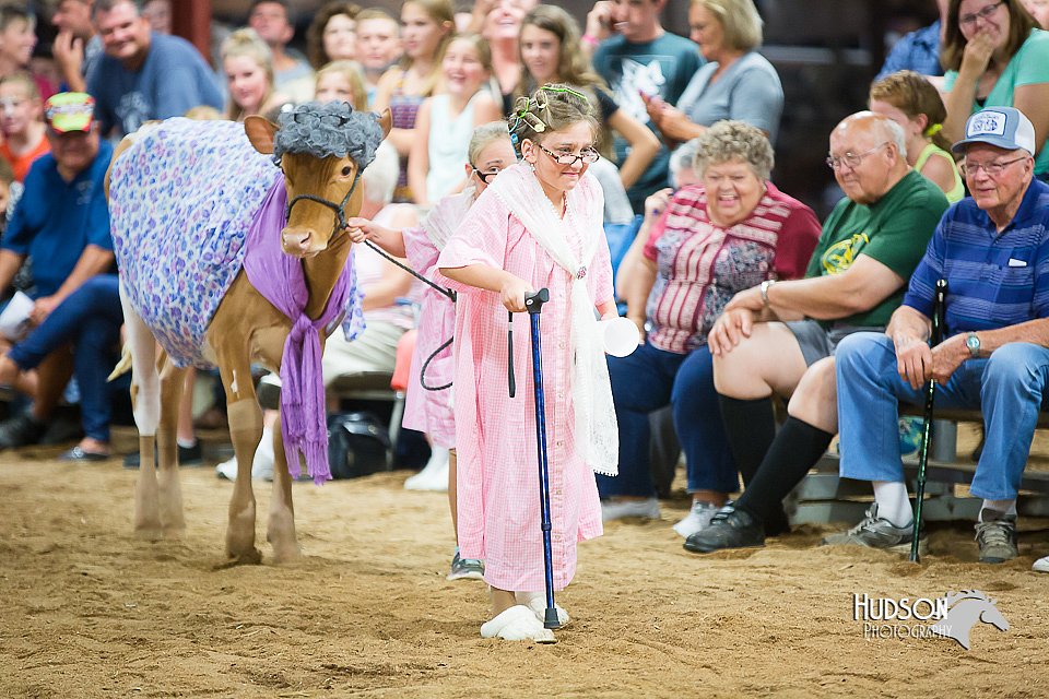 LCFair2016-3887.jpg