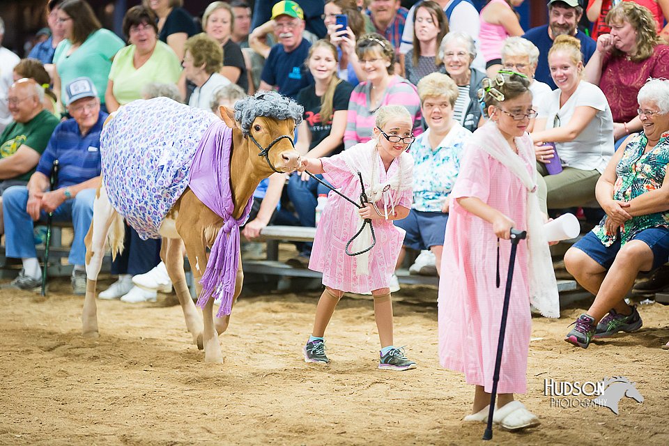 LCFair2016-3891.jpg