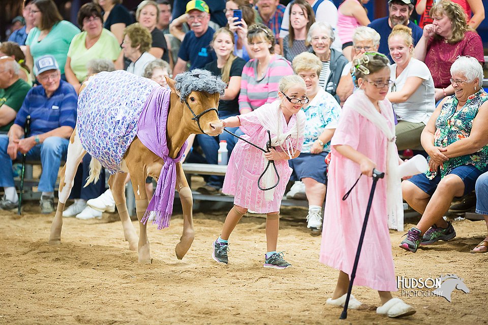 LCFair2016-3892.jpg