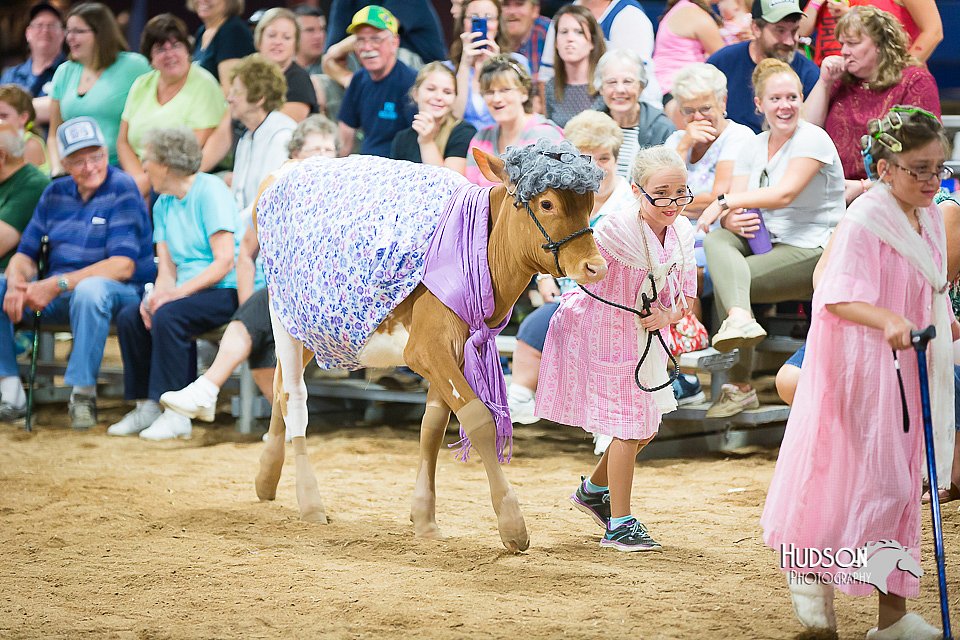LCFair2016-3893.jpg
