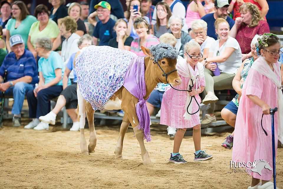 LCFair2016-3894.jpg