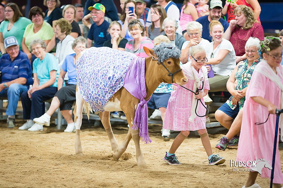 LCFair2016-3895.jpg