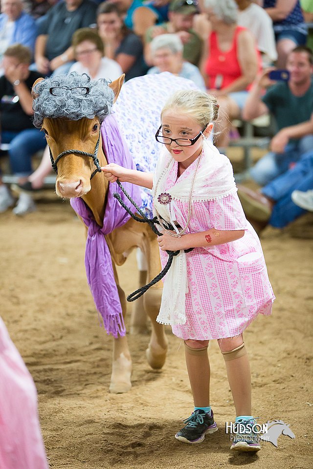 LCFair2016-3905.jpg