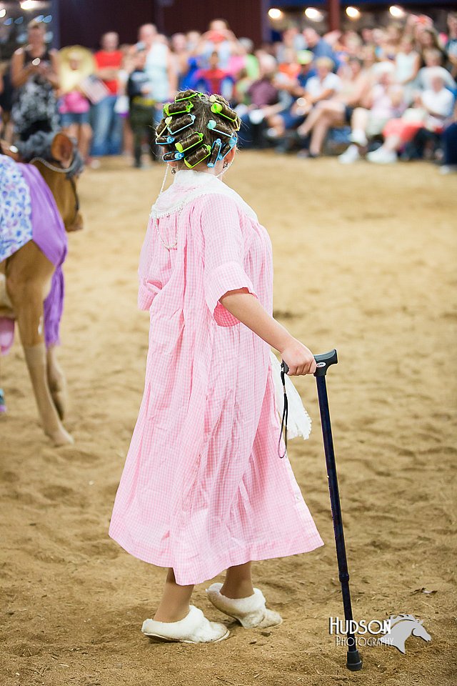 LCFair2016-3914.jpg