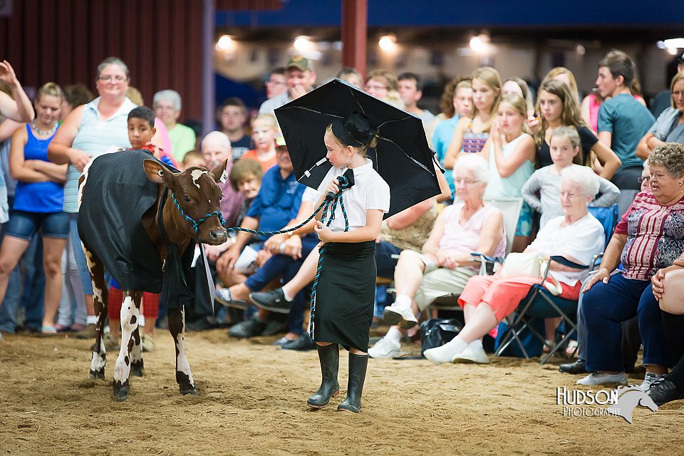 LCFair2016-3915.jpg