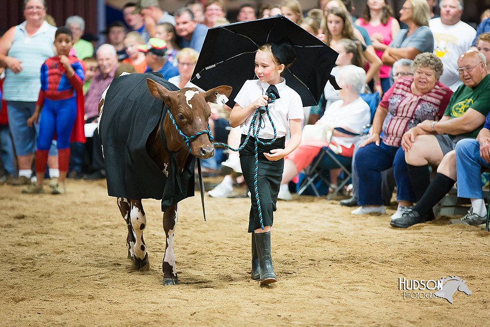 LCFair2016-3919.jpg