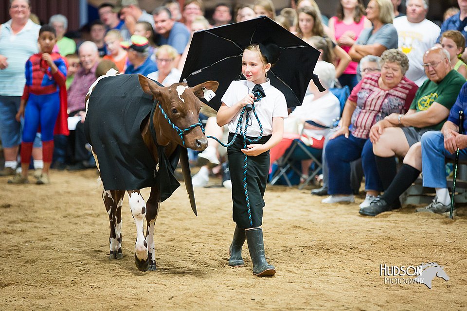 LCFair2016-3920.jpg