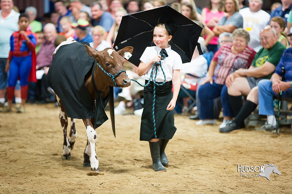 LCFair2016-3921.jpg