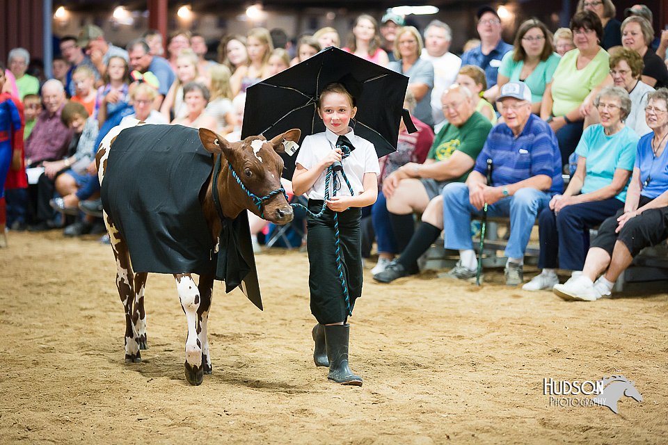 LCFair2016-3922.jpg